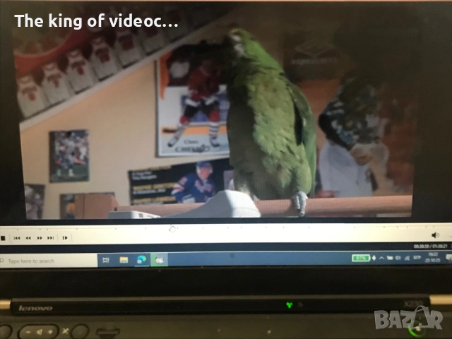 DVD САМ В КЪЩИ 3  Озвучен на български, снимка 9 - DVD филми - 52179865