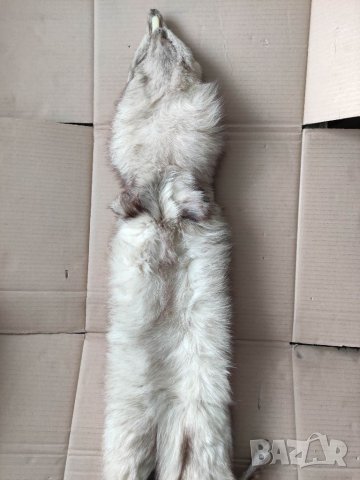 Продавам кожа от полярна 🦊