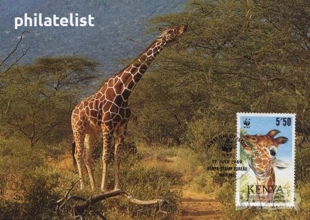 Кения 1989 4 броя Карти Максимум - WWF, снимка 4 - Филателия - 38881610