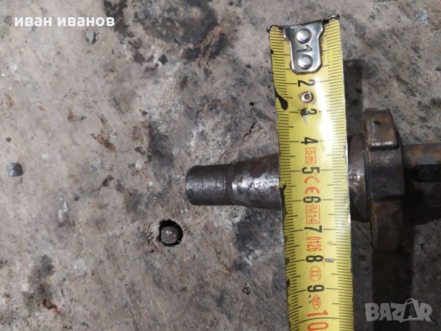 Малък дорник