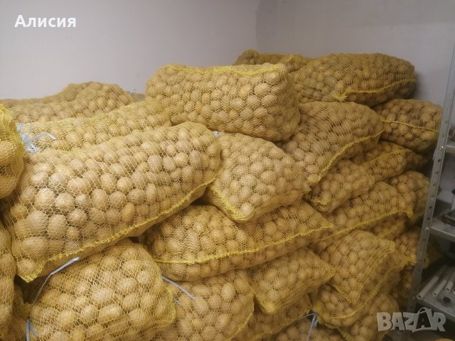 Продавам семе Картофи сорт Сорая Агрия и Агата цена 1.20лв/кг област Пловдив , снимка 7 - Домашни продукти - 43341859