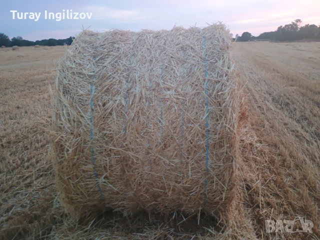 Слама размер на бала 120×150, снимка 2 - Други - 53453855