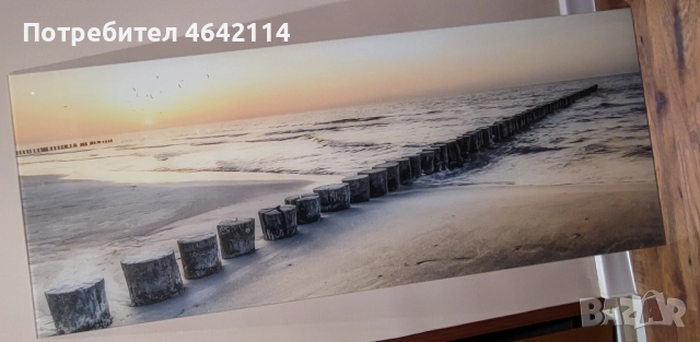 Картина принт на стъкло 125х50
