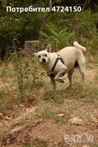 Фотоапарат NikonD3500, снимка 7 - Фотоапарати - 53289484