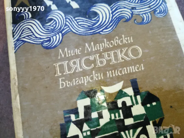 ПЯСЪЧКО 1710242012, снимка 2 - Други - 47623265