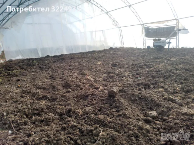 Оранжерии и открити площи под наем на 7 км. от гр. Варна в с. Куманово, от 70 кв.м. до 300 кв.м., снимка 6 - Парцели - 49053401