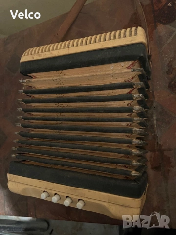 малак акордеон или хармоника