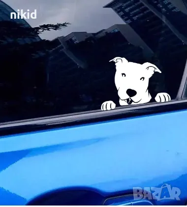 3D стикер Куче бял Питбул лепенка за автомобил кола Авто стикер, снимка 2 - Аксесоари и консумативи - 47754037