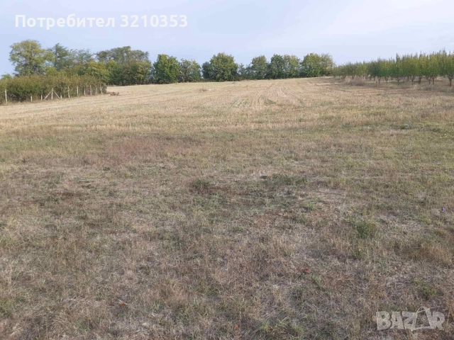 Продава парцел (дворно място), с. Певец, област Търговище, снимка 4 - Парцели - 51717830