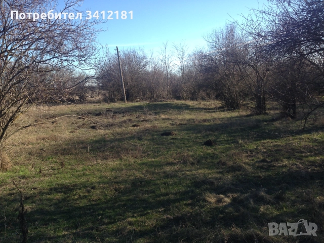 Голям парцел за застрояване в село Бежаново област Добрич собственик , снимка 6 - Парцели - 52341682