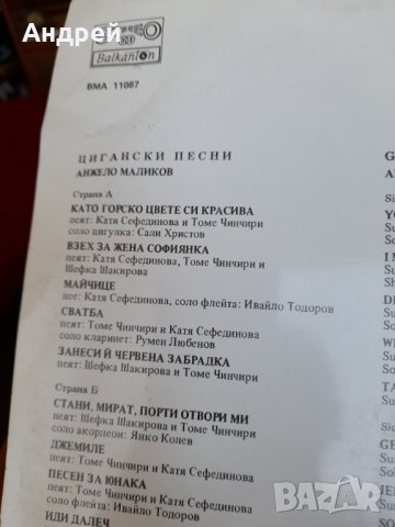 Грамофонна плоча Цигански Песни, снимка 4 - Грамофонни плочи - 32877717