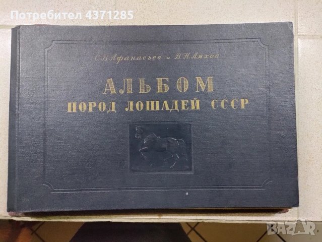 Альбом пород лошадей СССР - С.В.Афанасьев"1953  книга , снимка 4 - Художествена литература - 49216088