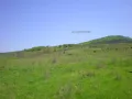 Продавам парцел в землището на с. Оброчище, снимка 10