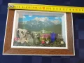 Хербаризирани цветя и кристали в рамка под стъкло  от Астрийските Алпи -Floralp Tyrol , снимка 5