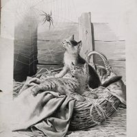 Притурки към детско Списание "Звездица"(1892-1914), снимка 7 - Антикварни и старинни предмети - 32208716