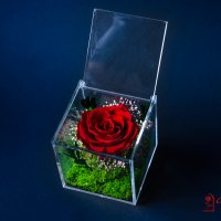 Естествена Вечна Роза в Акрилна Кутия / Уникален Подарък за Рожден Ден / Жива Вечна Роза в Кутия, снимка 3 - Подаръци за жени - 43749115
