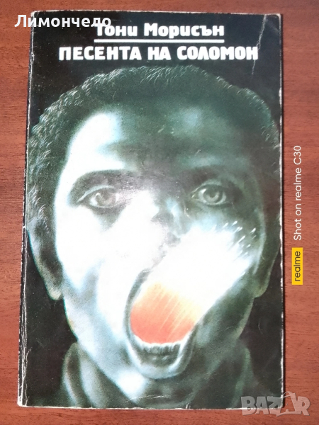 Песента на Соломон Тони Морисън, снимка 1