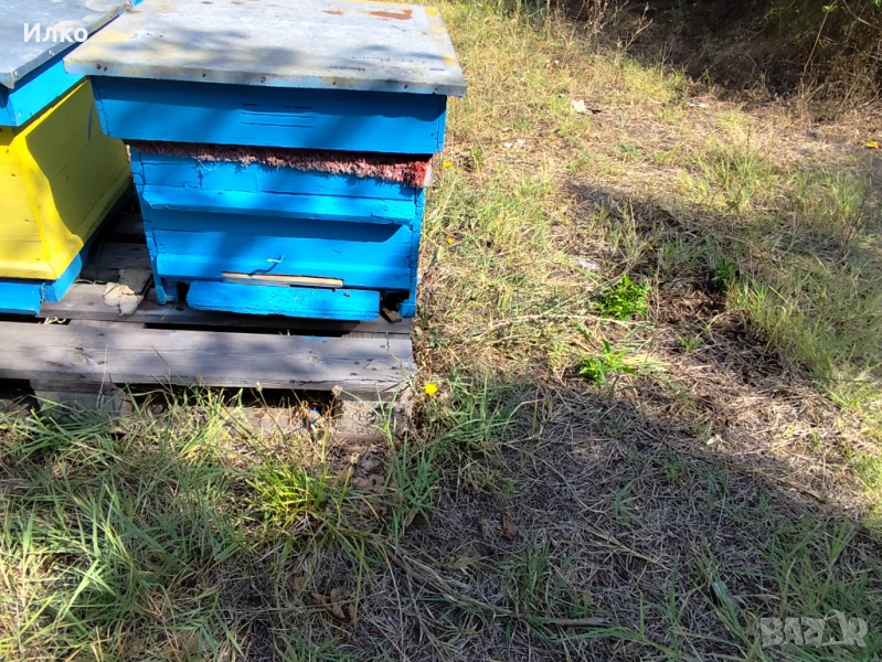 Пчелни кошери , снимка 1