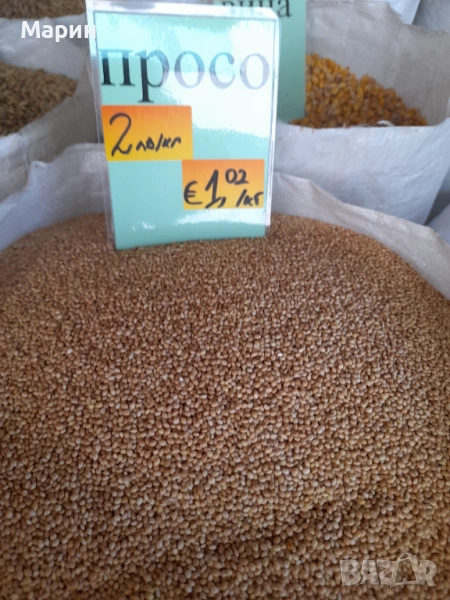 Просо Просо, снимка 1