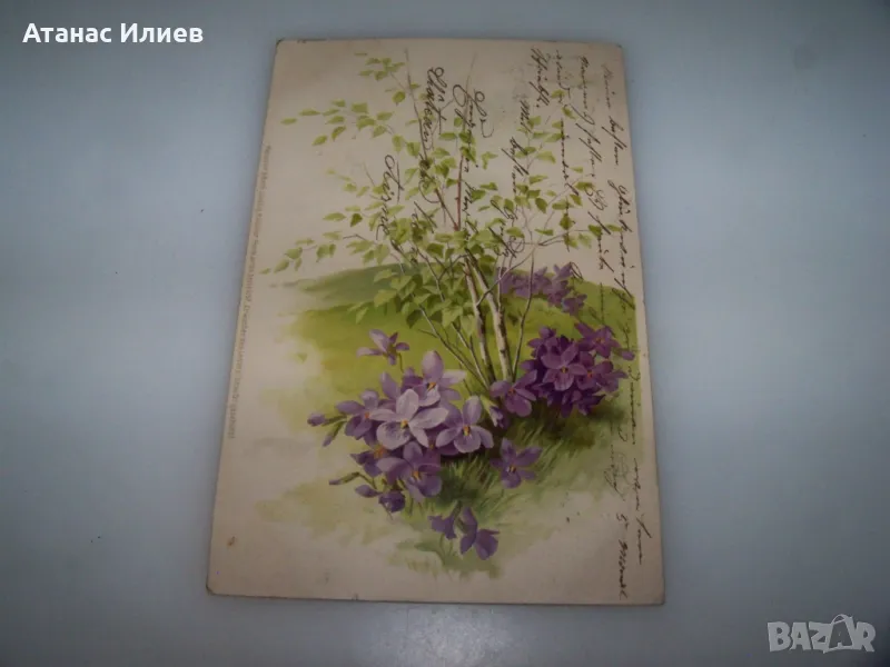 Красива австрийска пощенска картичка цветя,  1903г., снимка 1