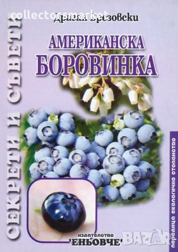 Американска боровинка, снимка 1