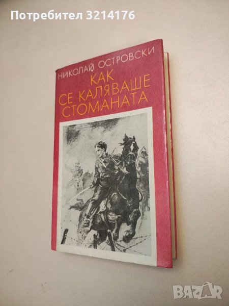 Как се каляваше стоманата - Николай Островски, снимка 1