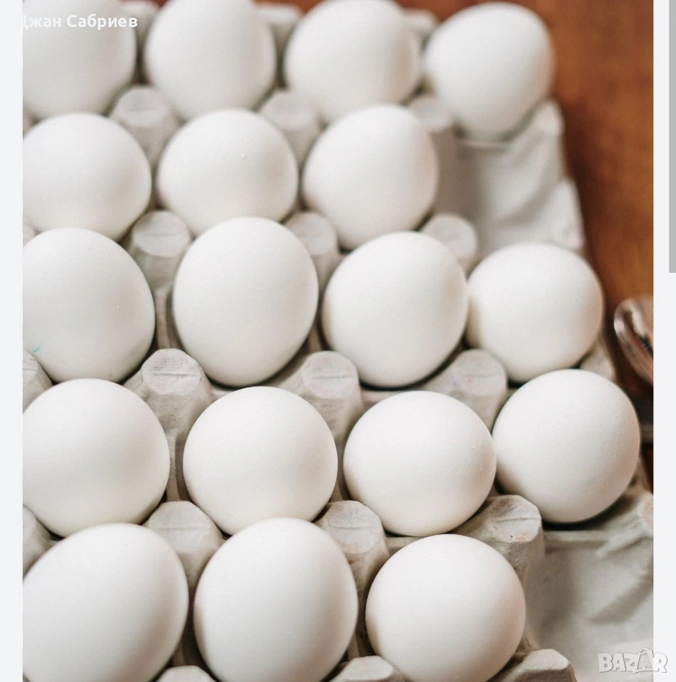 Разплодни яйца бял легхорн 100/100, снимка 1