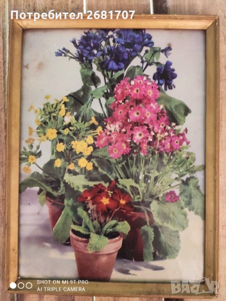 Стара картина, снимка 1