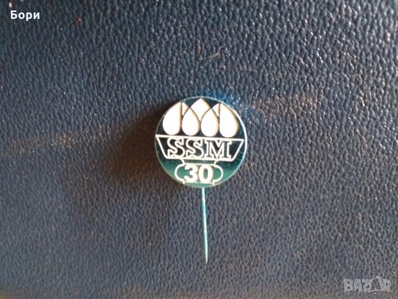 Значка ЧССР/SSM 30г комсомол Чехословакия синя, снимка 1