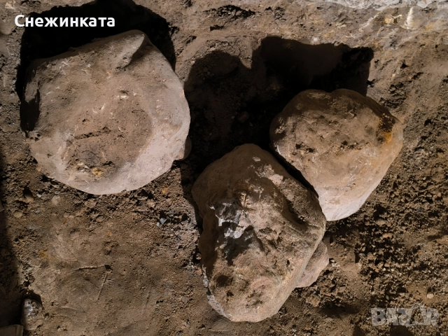 Подарявам големи и средни камъни за декорация/алпинеуми