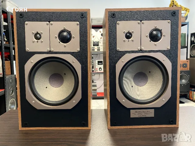 Класни тонколони Grundig, снимка 1