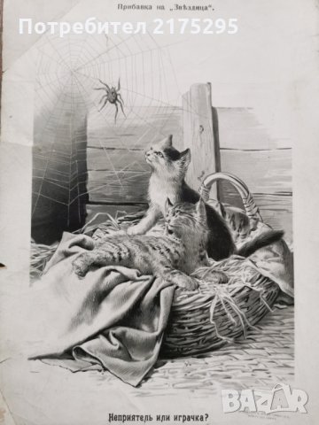 Притурки към детско Списание "Звездица"(1892-1914), снимка 7 - Антикварни и старинни предмети - 32208716