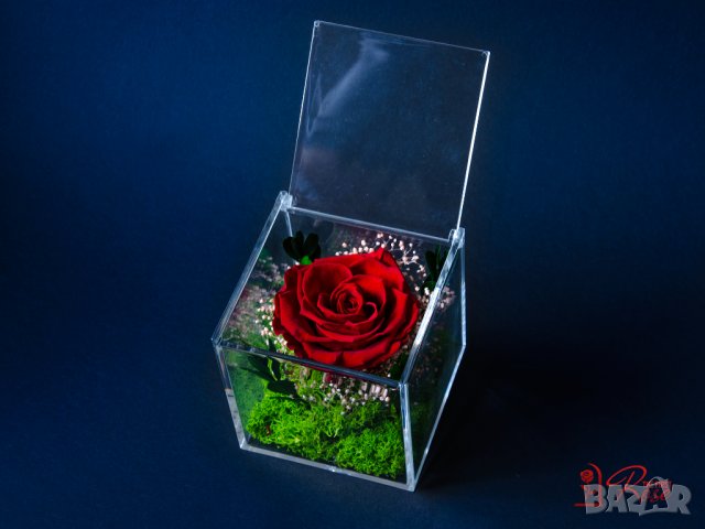 Естествена Вечна Роза в Акрилна Кутия / Уникален Подарък за Рожден Ден / Жива Вечна Роза в Кутия, снимка 3 - Подаръци за жени - 43749115