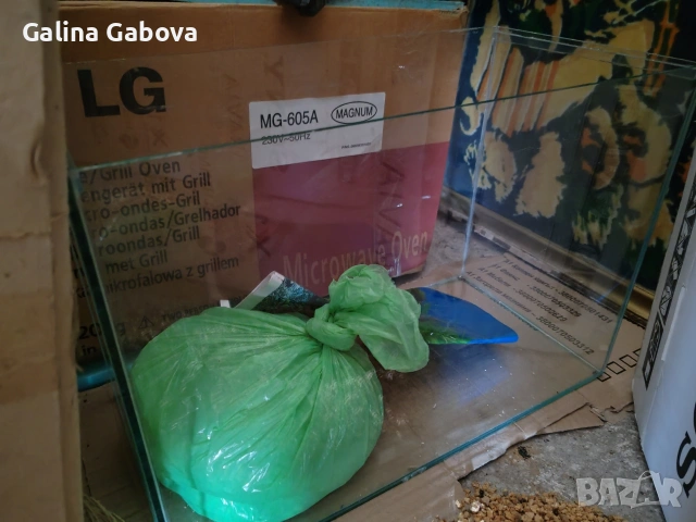 Аквариум и декорация , снимка 11 - Аквариуми - 29214917