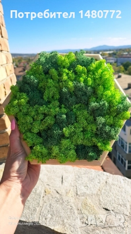 Пано шестоъгълник със скандинавски мъх , снимка 5 - Пана - 52117378