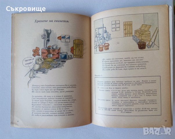 Стара детска книжка преди 1944 като комикс Весело букварче за храненето на домашните животни , снимка 4 - Българска литература - 29836053