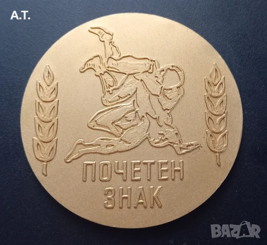 Почетен знак Васил Илиев., снимка 2 - Колекции - 51246079