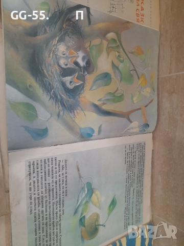 Стари детски книги.Приказки., снимка 8 - Колекции - 52669886