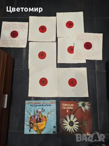 Грамофонни плочи / Плочи за грамофон, снимка 5 - Грамофонни плочи - 48368819