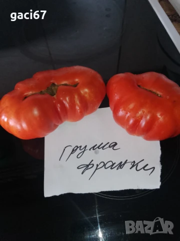 Семена домати и други зеленчуци , снимка 9 - Сортови семена и луковици - 51342295