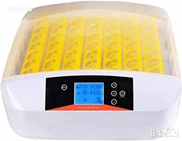 Инкубатор, снимка 1