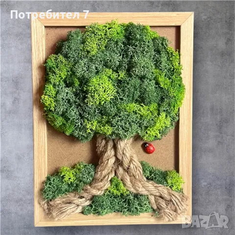 Дърво от скандинавски мъх , снимка 3 - Декорация за дома - 40893449