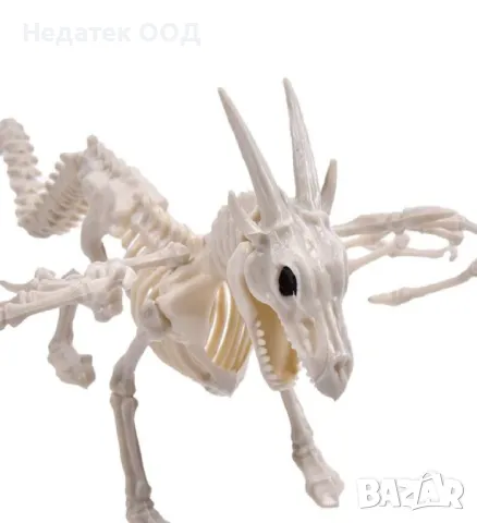 Декорация за Хелоуин, Реалистичен скелет, дракон, Пластмаса ,34 см, снимка 2 - Други - 47606693