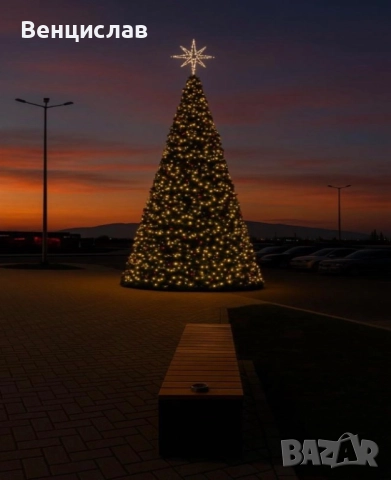 Гигантска коледна елха - 7 м височина
