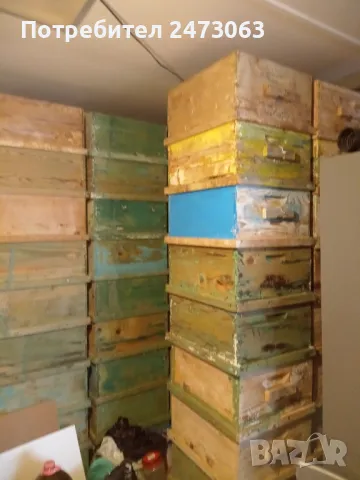 пчели, снимка 2 - За пчели - 48371094