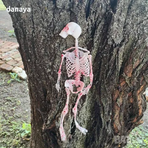 5185 Висяща Хелоуин украса Гумен скелет с кръв, 34 см, снимка 3 - Декорация за дома - 47270633