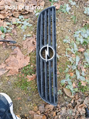Решетка преден капак Opel Zafira A Minivan (04.1999 - 06.2005), снимка 2 - Части - 49257255