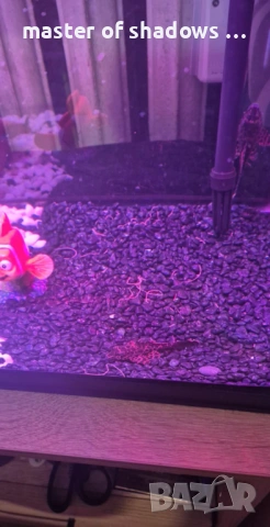 Аквариум RS-500EL - черен + 5 бр ПОДАРЪК, снимка 3 - Аквариуми - 53479716