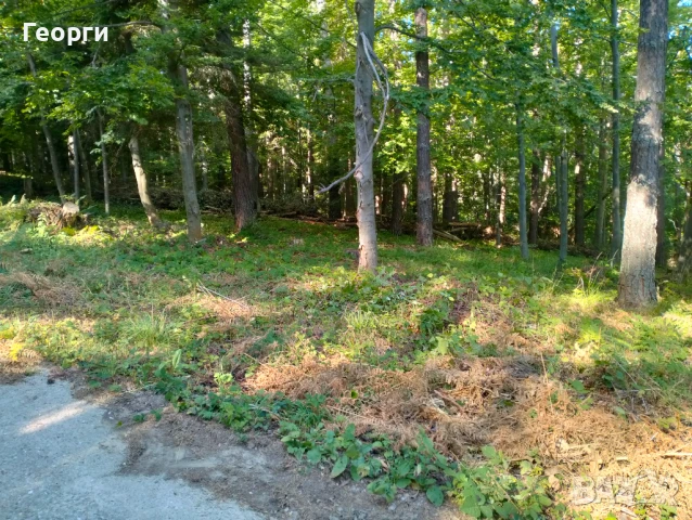 Имот хижа Здравец, снимка 4 - Земеделска земя - 50966083