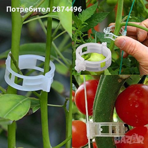 3691 50 броя клипс за поддържане на домати и растения, снимка 1 - Други - 37876716